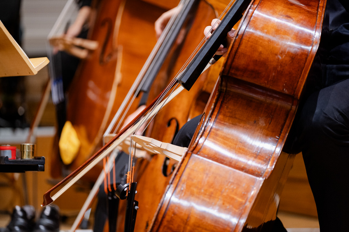 Cello Bundesschulmusikorchester Konzertfotografie